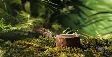 Ȱ���̹���